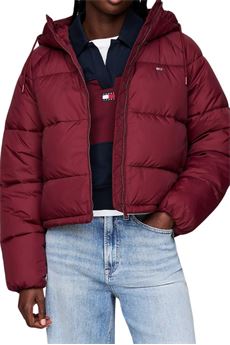  Tommy Jeans | DW0DW18841VLP